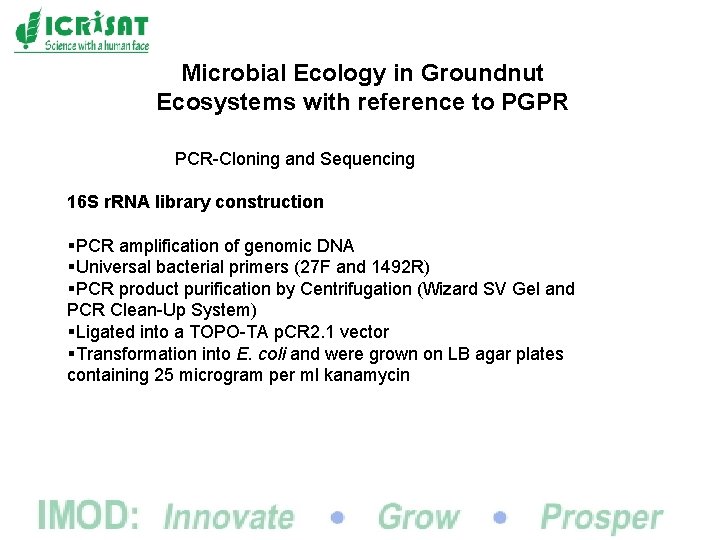 Microbial Ecology in Groundnut Ecosystems with reference to PGPR PCR-Cloning and Sequencing 16 S