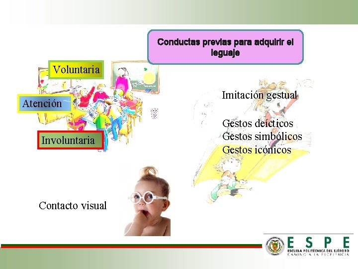 Conductas previas para adquirir el leguaje Voluntaria Atención Involuntaria Contacto visual Imitación gestual Gestos