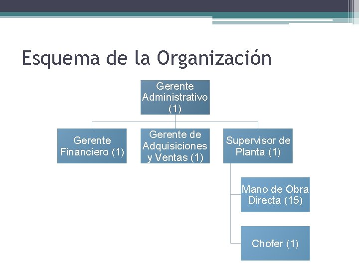Esquema de la Organización Gerente Administrativo (1) Gerente Financiero (1) Gerente de Adquisiciones y
