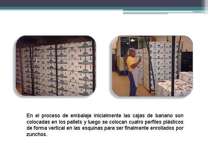 En el proceso de embalaje inicialmente las cajas de banano son colocadas en los