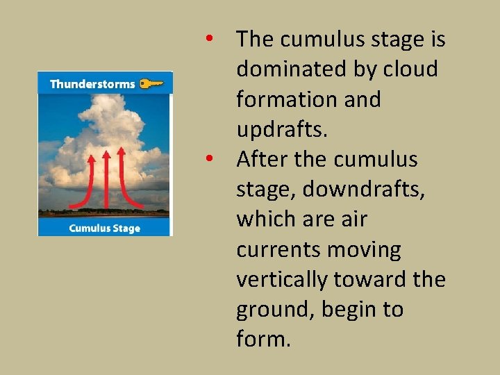  • The cumulus stage is dominated by cloud formation and updrafts. • After