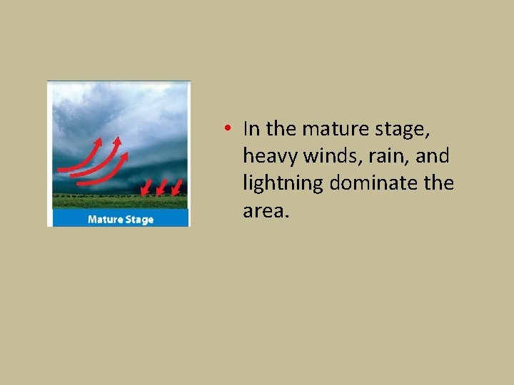  • In the mature stage, heavy winds, rain, and lightning dominate the area.