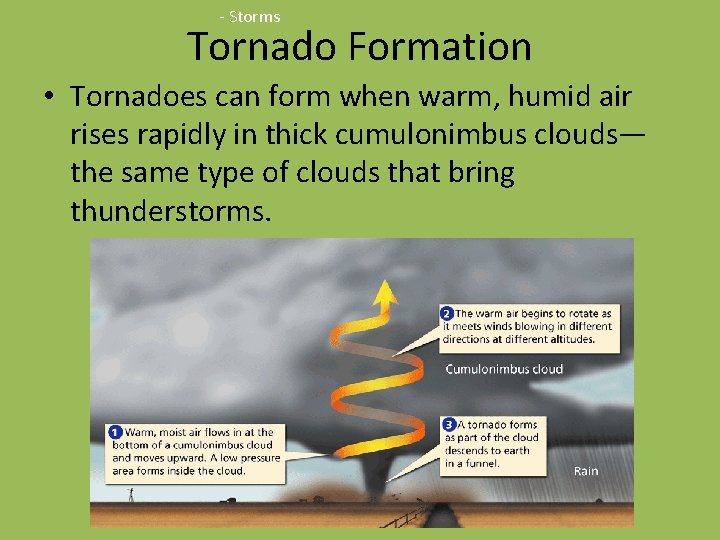 - Storms Tornado Formation • Tornadoes can form when warm, humid air rises rapidly