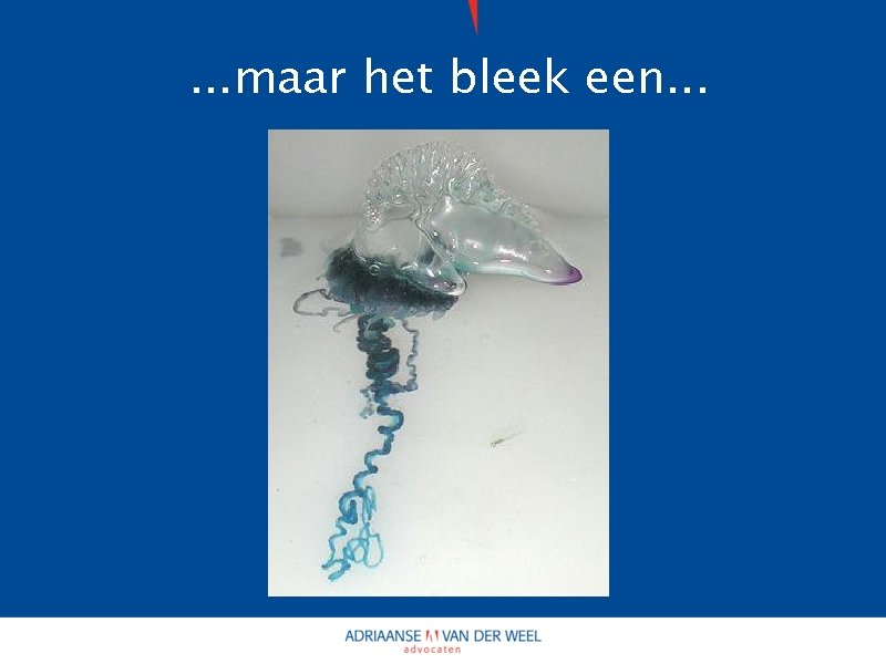 . . . maar het bleek een. . . 