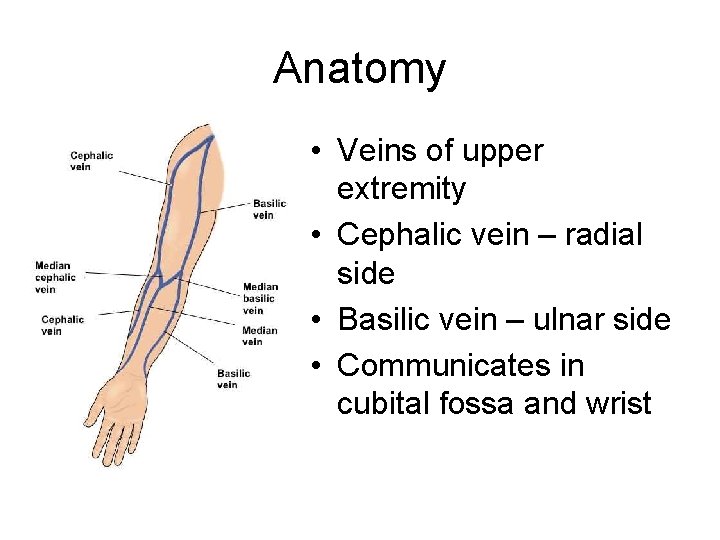 Anatomy • Veins of upper extremity • Cephalic vein – radial side • Basilic