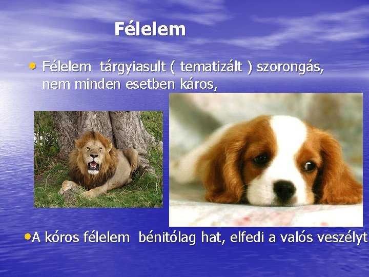 Félelem • Félelem tárgyiasult ( tematizált ) szorongás, nem minden esetben káros, • A