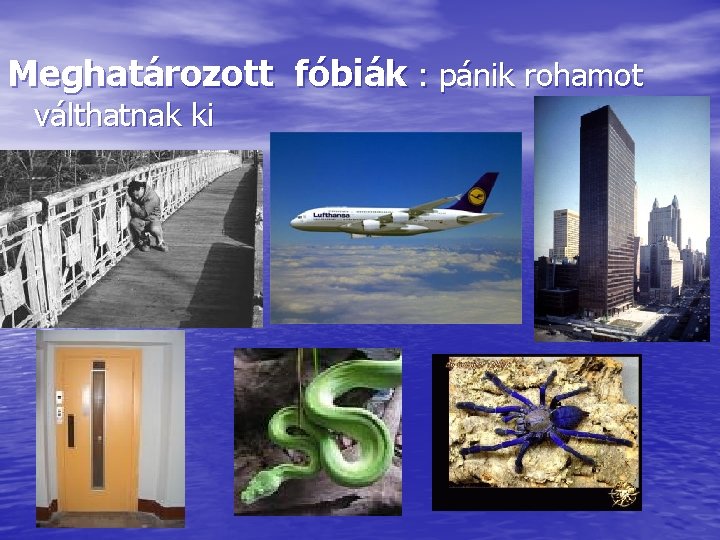 Meghatározott fóbiák : pánik rohamot válthatnak ki 