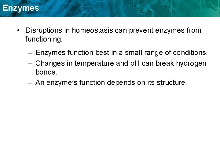 Enzymes • Disruptions in homeostasis can prevent enzymes from functioning. – Enzymes function best