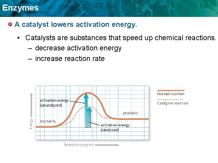 Enzymes A catalyst lowers activation energy. • Catalysts are substances that speed up chemical