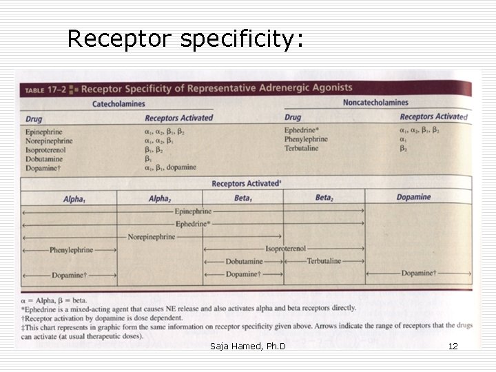 Receptor specificity: Saja Hamed, Ph. D 12 