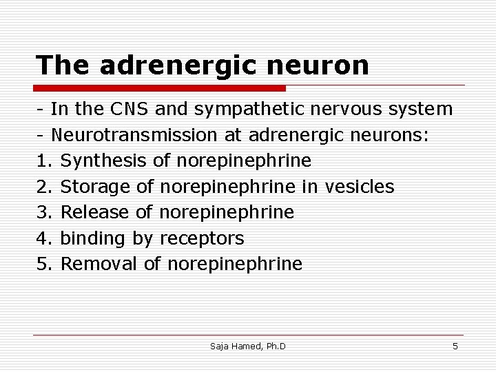 The adrenergic neuron - In the CNS and sympathetic nervous system - Neurotransmission at