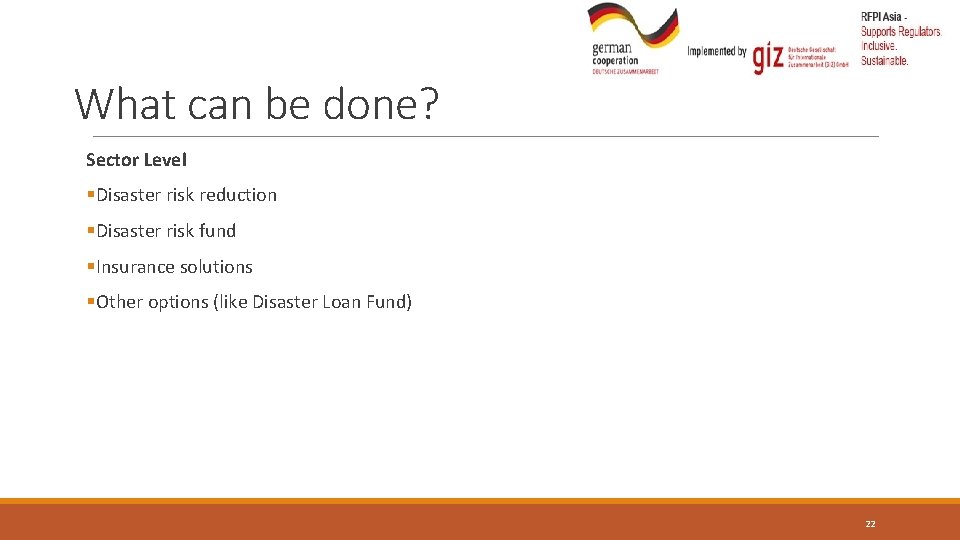 What can be done? Sector Level §Disaster risk reduction §Disaster risk fund §Insurance solutions