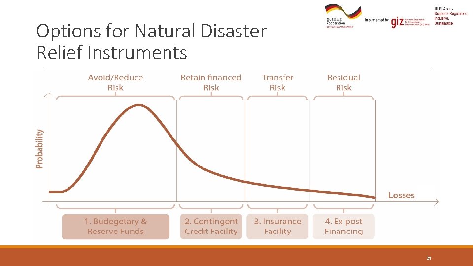 Options for Natural Disaster Relief Instruments 24 