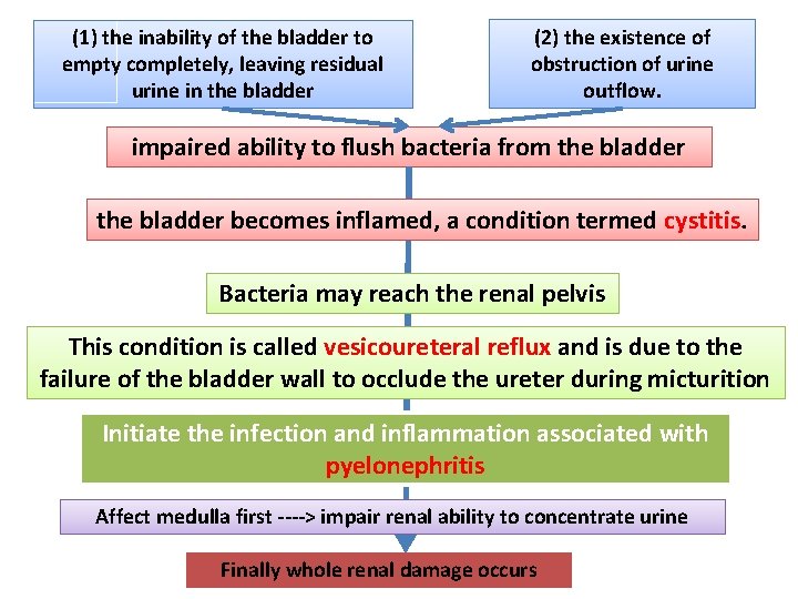 (1) the inability of the bladder to empty completely, leaving residual urine in the