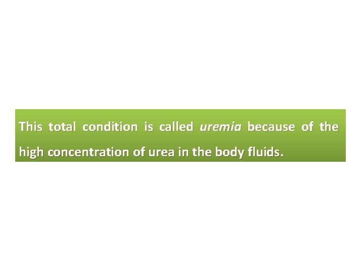 This total condition is called uremia because of the high concentration of urea in