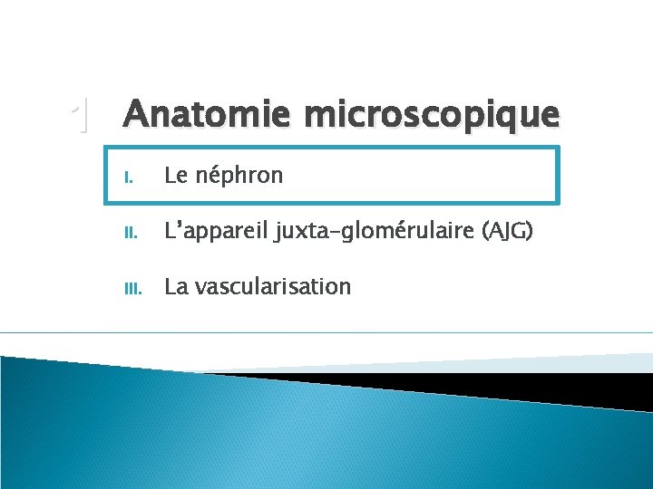 1 Anatomie microscopique I. Le néphron II. L’appareil juxta-glomérulaire (AJG) III. La vascularisation 