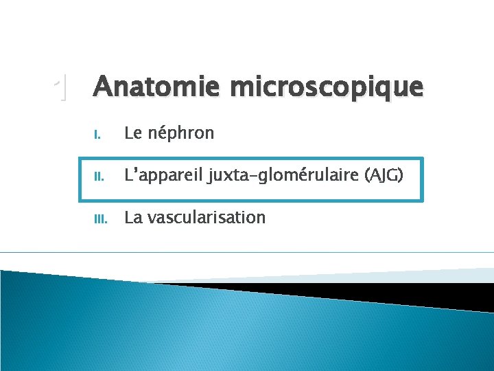 1 Anatomie microscopique I. Le néphron II. L’appareil juxta-glomérulaire (AJG) III. La vascularisation 