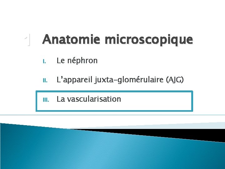 1 Anatomie microscopique I. Le néphron II. L’appareil juxta-glomérulaire (AJG) III. La vascularisation 