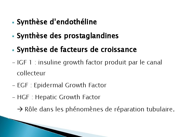§ Synthèse d’endothéline § Synthèse des prostaglandines § Synthèse de facteurs de croissance -