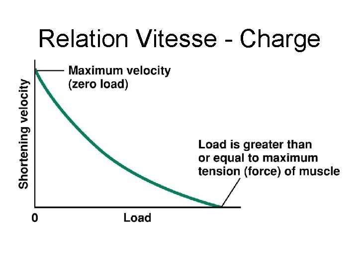 Relation Vitesse - Charge 