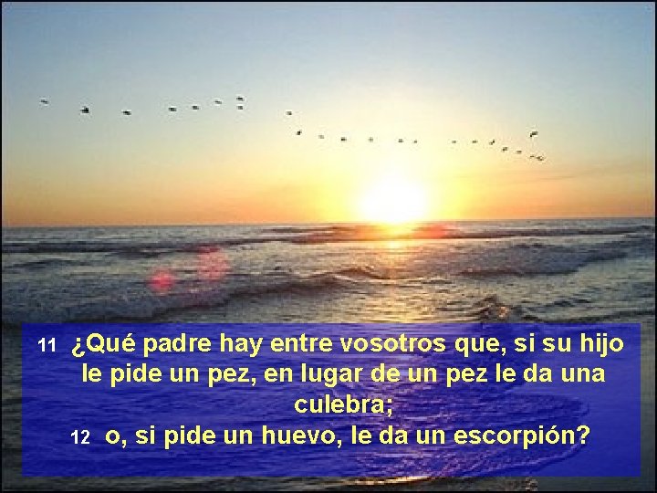 11 ¿Qué padre hay entre vosotros que, si su hijo le pide un pez,