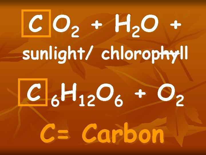 C O 2 + H 2 O + sunlight/ chlorophyll C 6 H 12