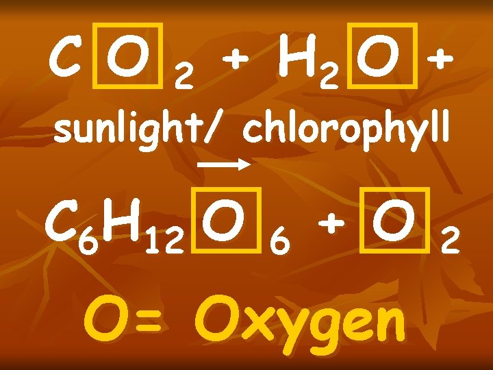 C O 2 + H 2 O + sunlight/ chlorophyll C 6 H 12