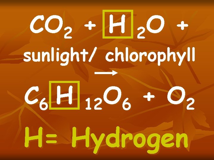 CO 2 + H 2 O + sunlight/ chlorophyll C 6 H O +