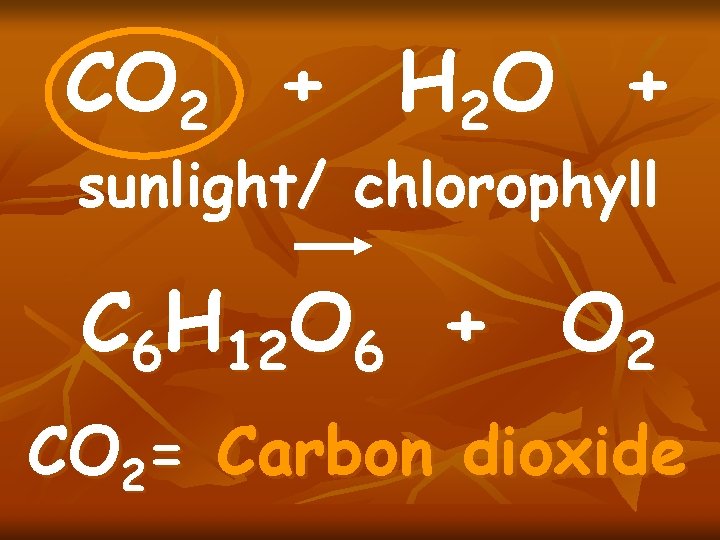 CO 2 + H 2 O + sunlight/ chlorophyll C 6 H 12 O