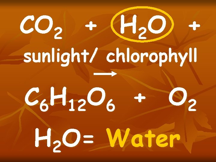 CO 2 + H 2 O + sunlight/ chlorophyll C 6 H 12 O