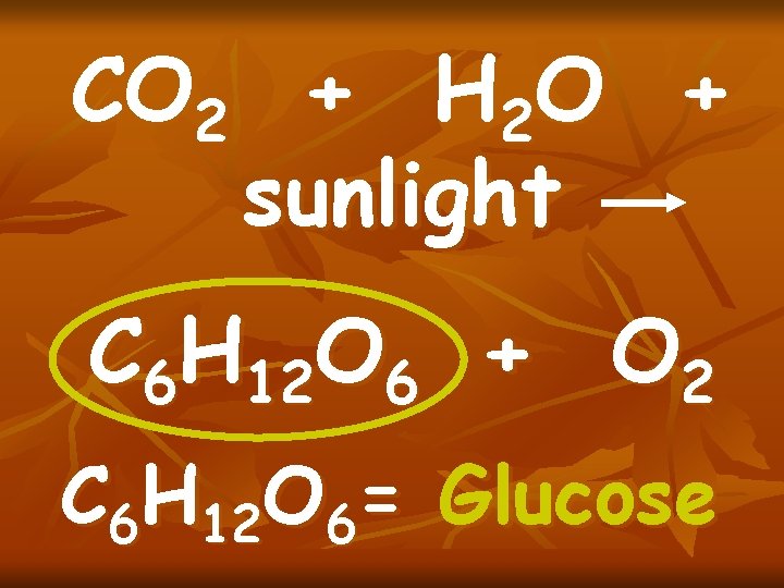 CO 2 + H 2 O + sunlight C 6 H 12 O 6