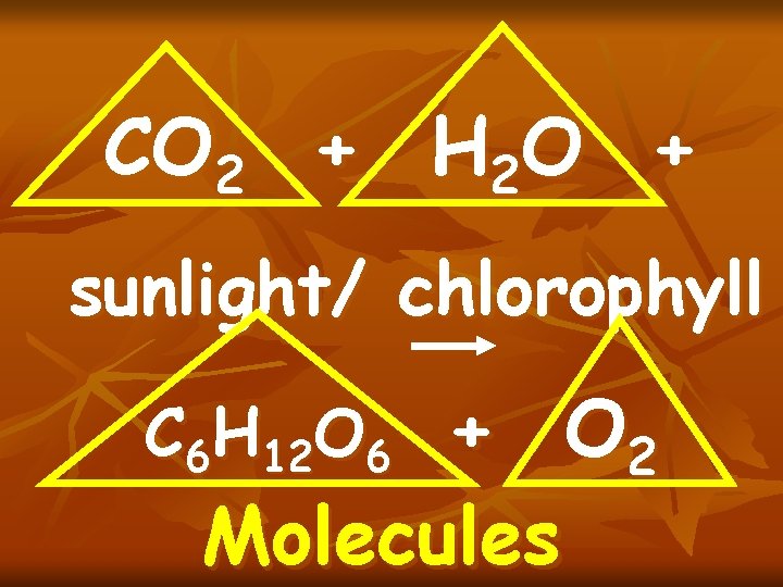 CO 2 + H 2 O + sunlight/ chlorophyll + O 2 Molecules C