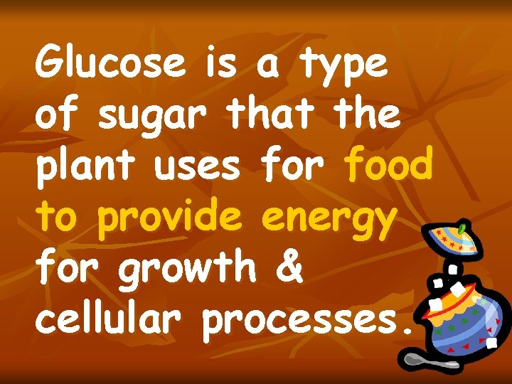 Glucose is a type of sugar that the plant uses for food to provide