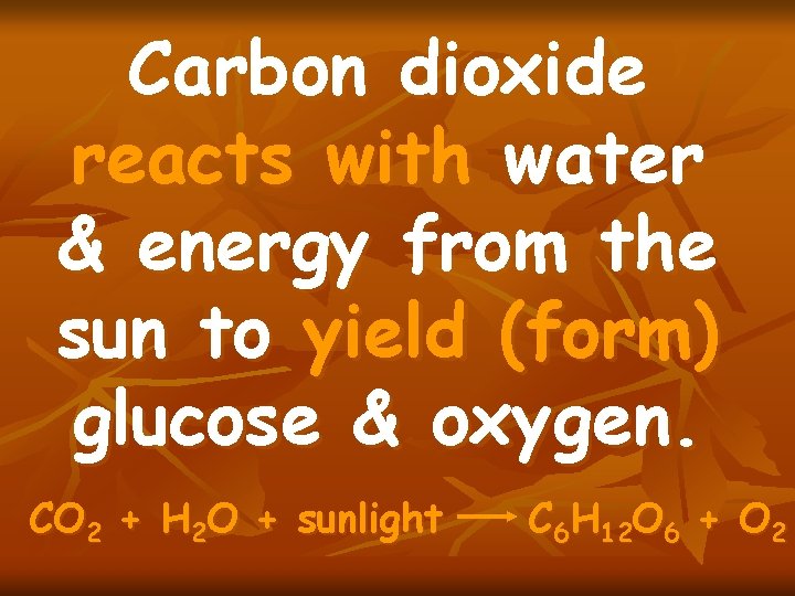 Carbon dioxide reacts with water & energy from the sun to yield (form) glucose