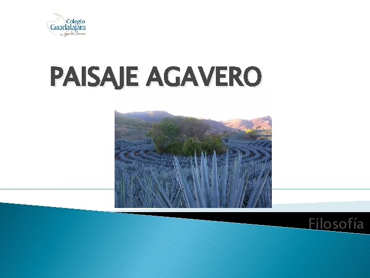 PAISAJE AGAVERO Filosofía 