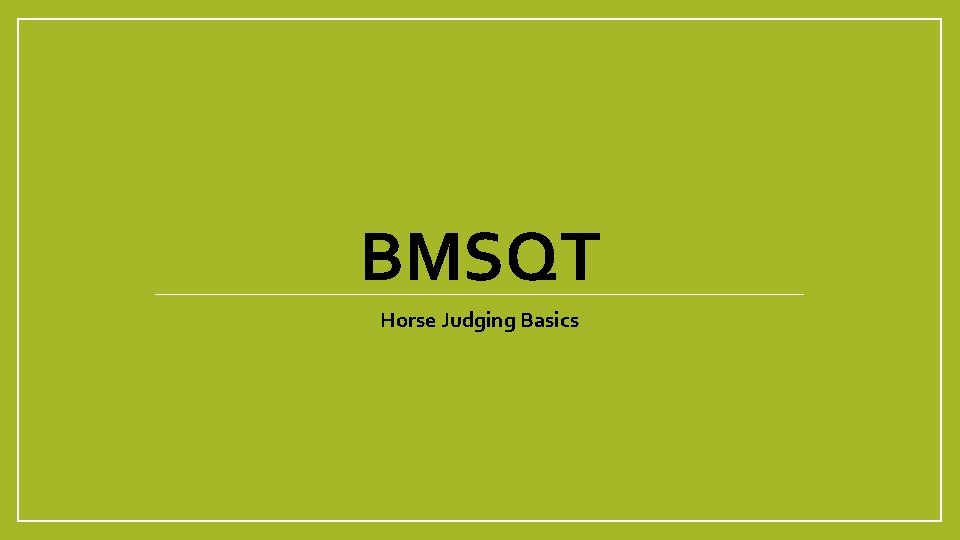 BMSQT Horse Judging Basics 