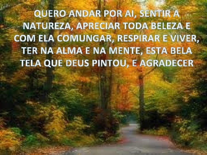 QUERO ANDAR POR AI, SENTIR A NATUREZA, APRECIAR TODA BELEZA E COM ELA COMUNGAR,