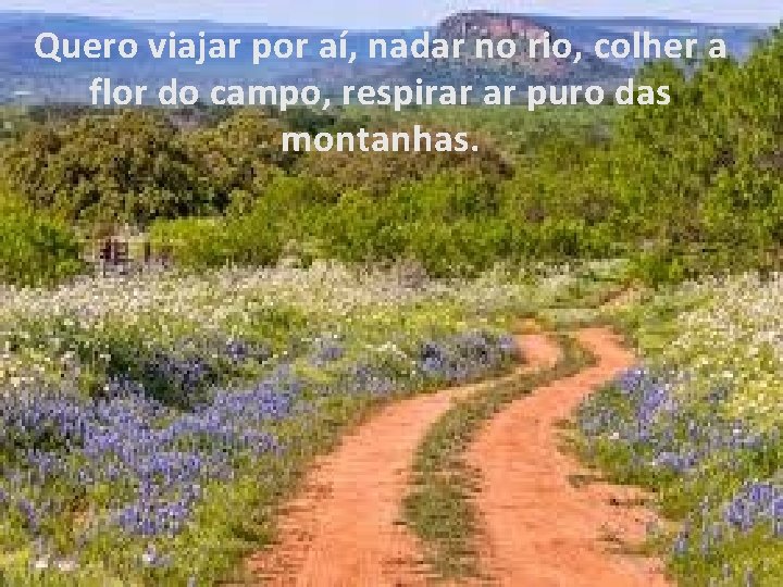 Quero viajar por aí, nadar no rio, colher a flor do campo, respirar ar