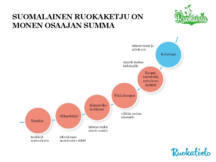 SUOMALAINEN RUOKAKETJU ON MONEN OSAAJAN SUMMA 