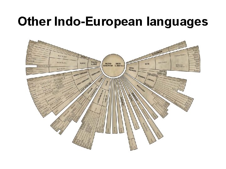 Other Indo-European languages 