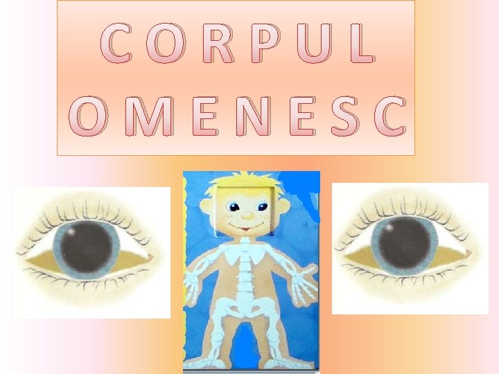 CORPUL OMENESC 