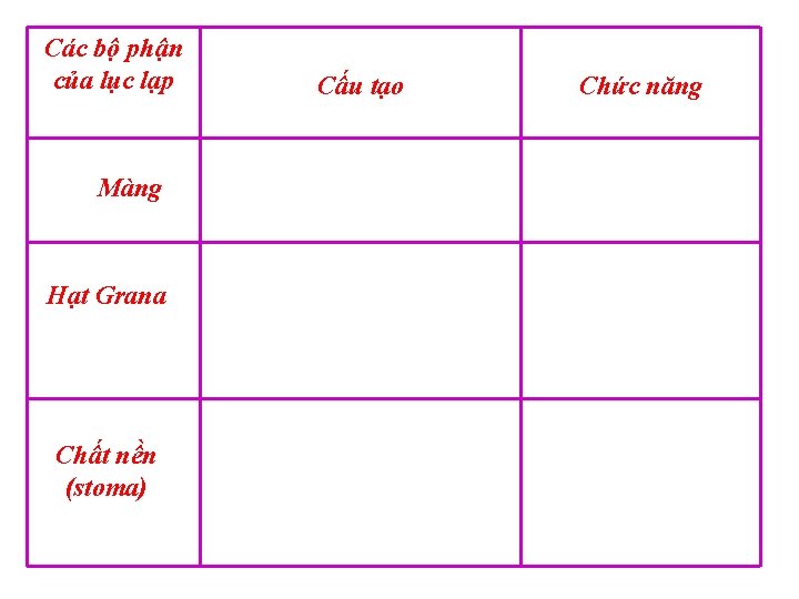 Các bộ phận của lục lạp Màng Hạt Grana Chất nền (stoma) Cấu tạo Các bộ phận của lục lạp Màng Hạt Grana Chất nền (stoma) Cấu tạo