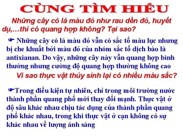 Những cây có lá màu đỏ như rau dền đỏ, huyết dụ, …thì có Những cây có lá màu đỏ như rau dền đỏ, huyết dụ, …thì có