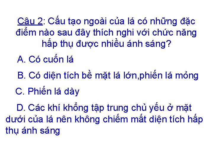 Câu 2: Cấu tạo ngoài của lá có những đặc điểm nào sau đây Câu 2: Cấu tạo ngoài của lá có những đặc điểm nào sau đây
