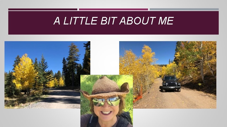A LITTLE BIT ABOUT ME A LITTLE BIT ABOUT ME