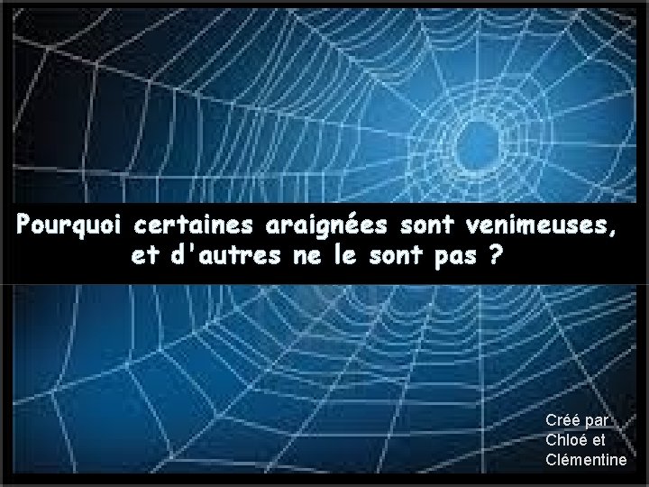 Pourquoi certaines araignées sont venimeuses , et d'autres ne le sont pas ? Créé