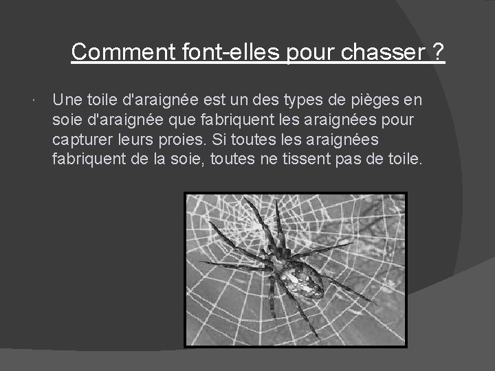 Comment font-elles pour chasser ? Une toile d'araignée est un des types de pièges