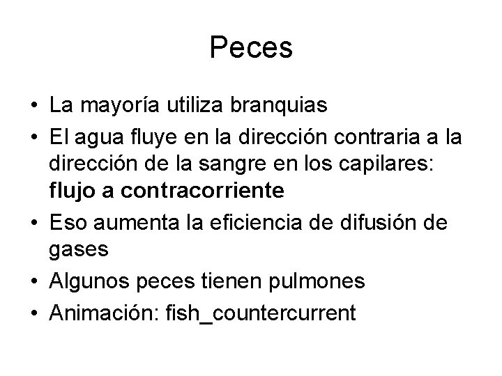 Peces • La mayoría utiliza branquias • El agua fluye en la dirección contraria Peces • La mayoría utiliza branquias • El agua fluye en la dirección contraria