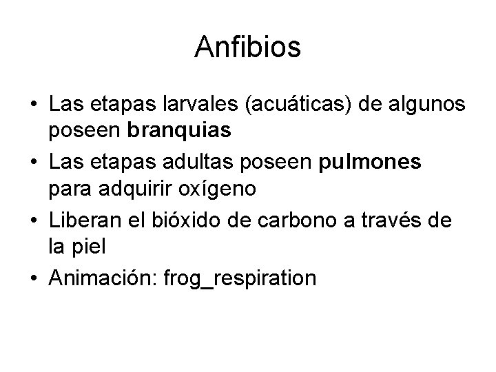 Anfibios • Las etapas larvales (acuáticas) de algunos poseen branquias • Las etapas adultas Anfibios • Las etapas larvales (acuáticas) de algunos poseen branquias • Las etapas adultas