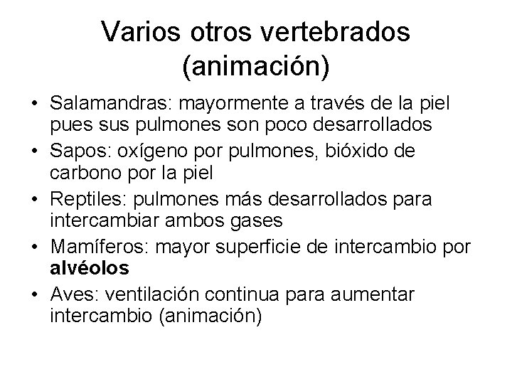 Varios otros vertebrados (animación) • Salamandras: mayormente a través de la piel pues sus Varios otros vertebrados (animación) • Salamandras: mayormente a través de la piel pues sus